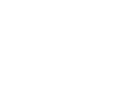 Evolution games at Stellar Spins Casino
